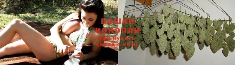 где купить наркотик  Белогорск  Шишки марихуана Ganja 